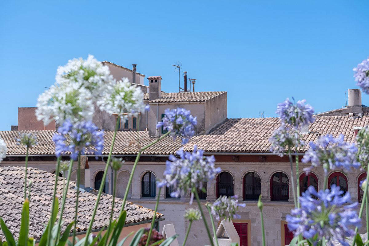 Blick von der Terrasse über die Dächer der Altstadt von Palma de Mallorca