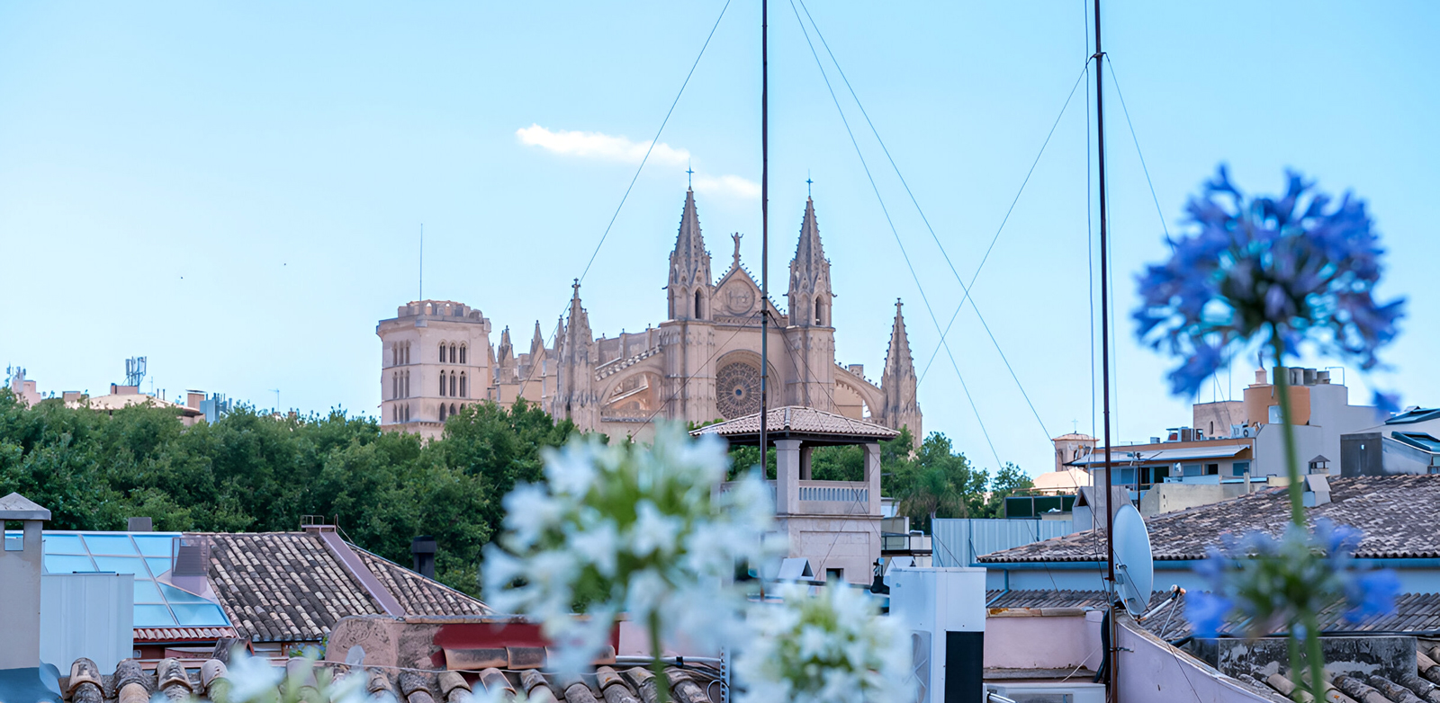 Terrassenblick vom Penthouse auf die Kathedrale von Palma und die Altstadtdächer