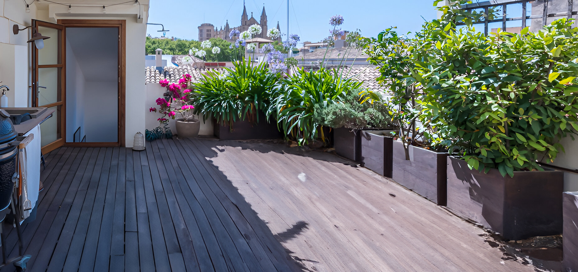 Begrünte Dachterrasse mit Stadtblick im historischen Penthouse in Palma de Mallorca
